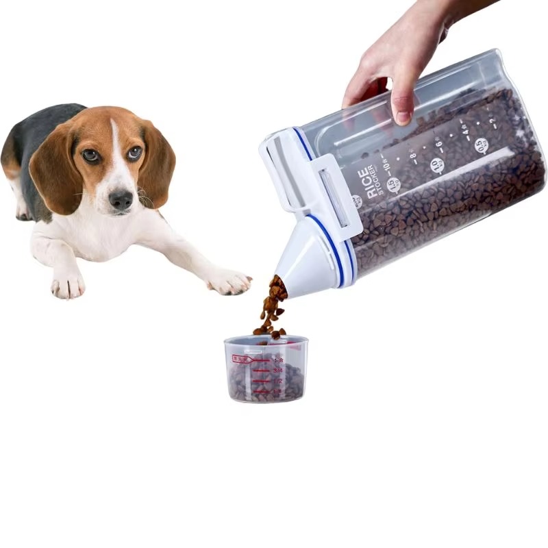 Food Storage Eco Friendly - Promoção Quente: Caixas de Armazenamento de