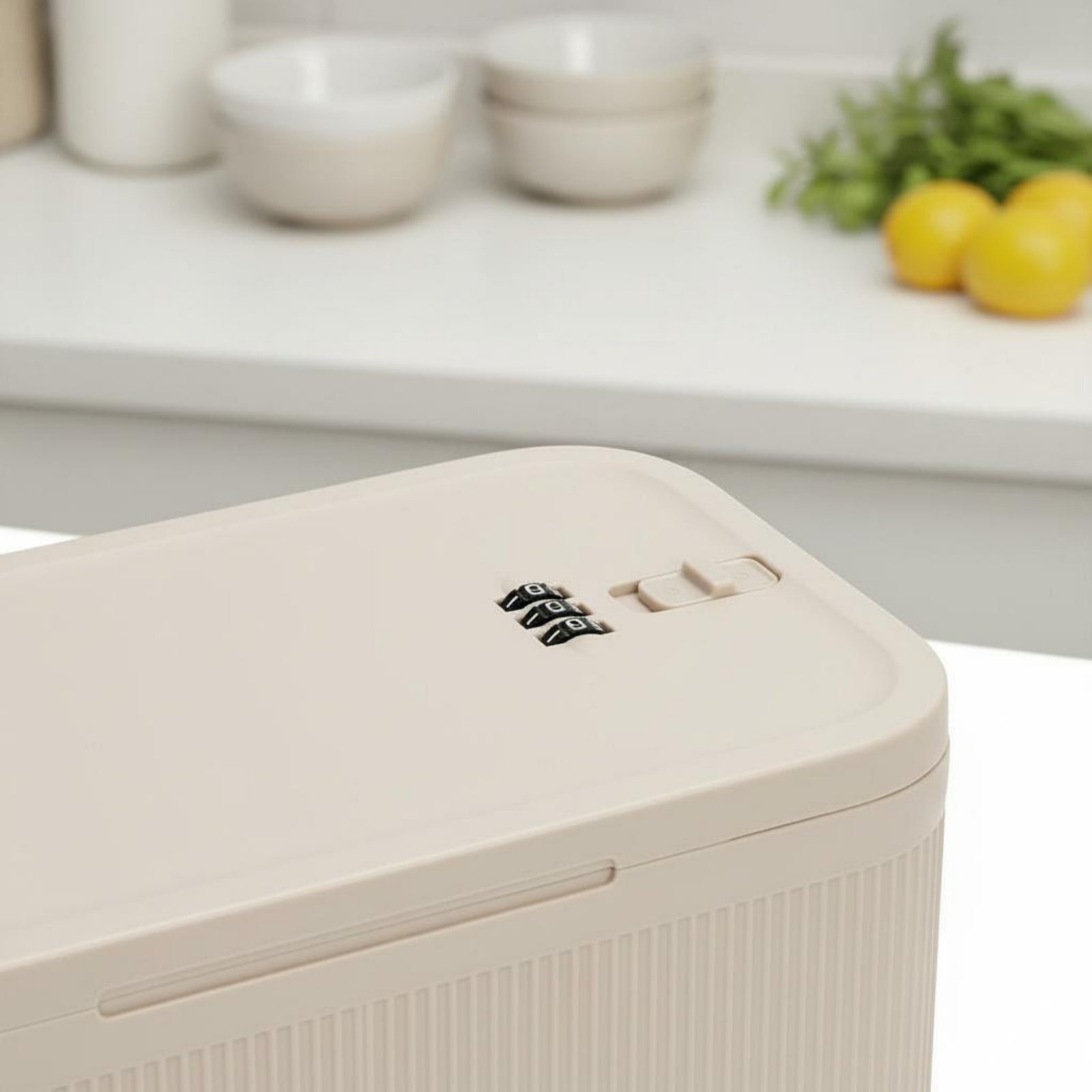 Caixa de Armazenamento com Fec - Food Storage Lock Box avaliação e preço