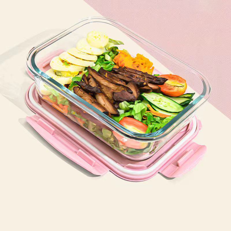 Novo estilo lancheira de vidro - Food Storage Safe avaliação e preço